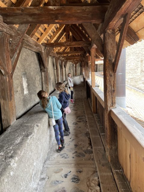 Nos Décou Vertes Décou Vertes